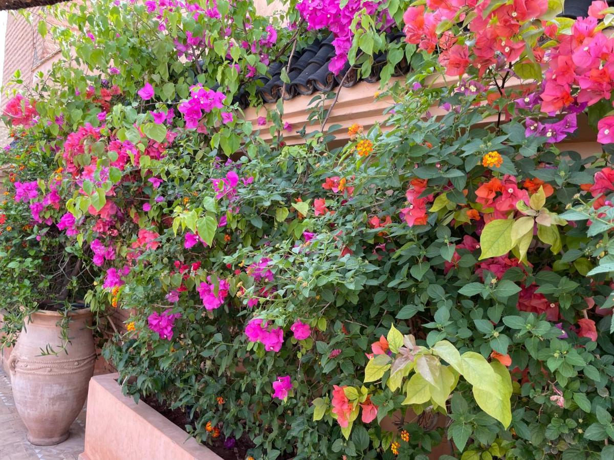 Riad Zouhour Marrakesch Exterior foto
