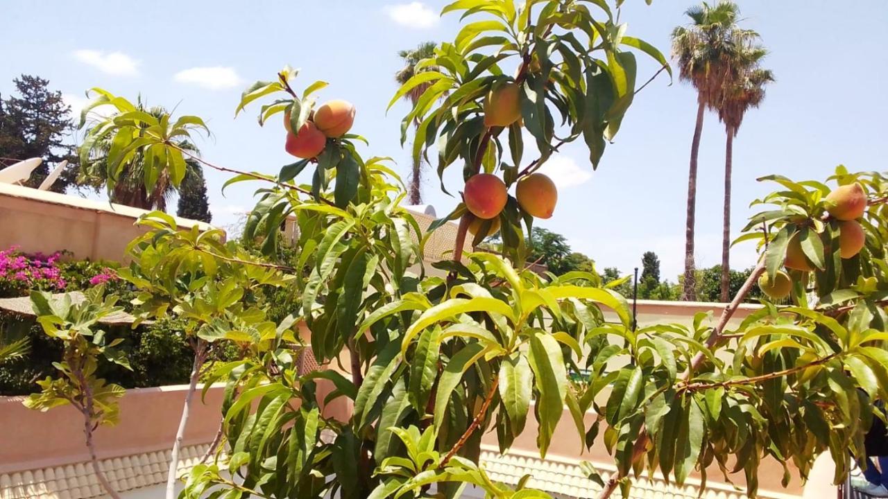 Riad Zouhour Marrakesch Exterior foto
